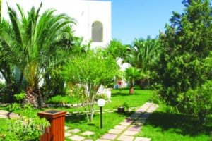 Gaia Garden_lowest prices_in_Hotel_Dodekanessos Islands_Kos_Kos Rest Areas