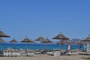 Diamond Deluxe Hotel - Adults Only_holidays_in_Hotel_Dodekanessos Islands_Kos_Kos Rest Areas