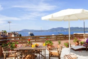 Tasoula Studios & Apartments_best prices_in_Apartment_Ionian Islands_Lefkada_Perigiali