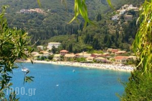 Lena Garnelli Apartments_best deals_Apartment_Ionian Islands_Corfu_Kassiopi
