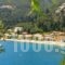 Lena Garnelli Apartments_best deals_Apartment_Ionian Islands_Corfu_Kassiopi