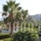 Melia Sol Art Studios_lowest prices_in_Hotel_Aegean Islands_Chios_Chios Rest Areas