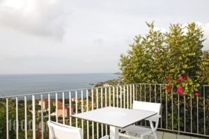 Asteris Hotel_accommodation_in_Hotel_Ionian Islands_Kefalonia_Kefalonia'st Areas