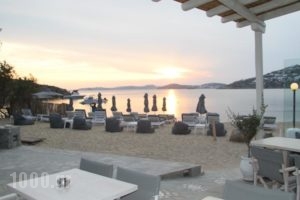 Agia Anna Studios_travel_packages_in_Cyclades Islands_Mykonos_Mykonos Chora