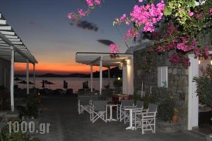 Agia Anna Studios_lowest prices_in_Hotel_Cyclades Islands_Mykonos_Mykonos Chora