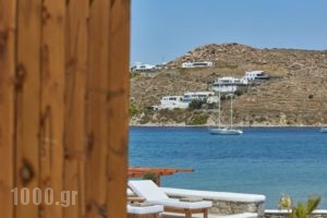 Mykonos Ves Beach House & Suites_holidays_in_Hotel_Cyclades Islands_Mykonos_Mykonos ora