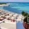 Aktaion Hotel_holidays_in_Hotel_Piraeus Islands - Trizonia_Agistri_Agistri Chora