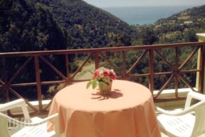 Saint George_lowest prices_in_Hotel_Crete_Rethymnon_Plakias