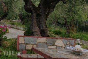 Villa Gerakas_holidays_in_Villa_Ionian Islands_Zakinthos_Zakinthos Rest Areas