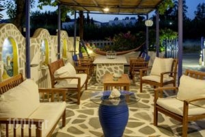 Marioly Studios_holidays_in_Hotel_Cyclades Islands_Paros_Paros Chora