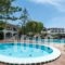 Contessa Hotel_holidays_in_Hotel_Ionian Islands_Zakinthos_Zakinthos Chora