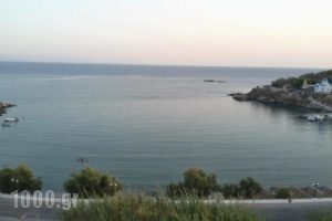 Hotel Alexandra_holidays_in_Hotel_Cyclades Islands_Syros_Posidonia