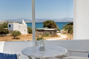 Apartments Tarsa_best deals_Apartment_Cyclades Islands_Antiparos_Antiparos Chora