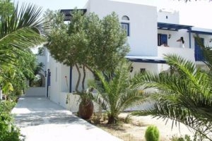 Apolafsi_holidays_in_Apartment_Cyclades Islands_Koufonisia_Koufonisi Rest Areas