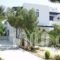 Apolafsi_holidays_in_Apartment_Cyclades Islands_Koufonisia_Koufonisi Rest Areas