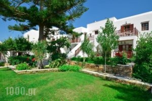 Birikos Hotel_travel_packages_in_Cyclades Islands_Naxos_Naxos Chora