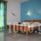 Ambelaki Studios_accommodation_in_Apartment_Cyclades Islands_Naxos_Naxos Chora