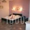 Ambelaki Studios_best prices_in_Apartment_Cyclades Islands_Naxos_Naxos Chora
