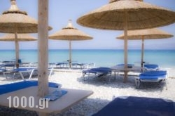 Kokkoni Beach Hotel in Athens, Attica, Central Greece