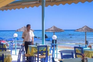 Fereniki complex - Manousos Sea Studios_travel_packages_in_Crete_Chania_Georgioupoli