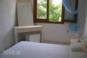 Olympia Paxos_holidays_in_Hotel_Ionian Islands_Paxi_Paxi Rest Areas