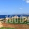Irene_holidays_in_Hotel_Crete_Chania_Chania City