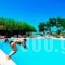 Hotel Gortyna_best deals_Hotel_Crete_Rethymnon_Rethymnon City