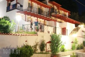 Villa Teozenia_accommodation_in_Villa_Thessaly_Magnesia_Milies