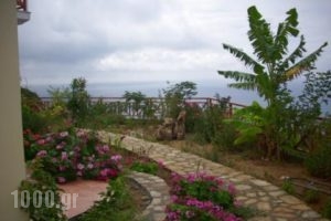 Irida maisonettes_accommodation_in_Room_Aegean Islands_Ikaria_Raches