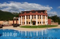 Mouzaki Hotel & Spa in Oxia, Karditsa, Thessaly