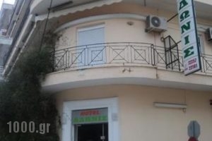 Adonis_lowest prices_in_Hotel_Central Greece_Evia_Edipsos