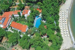 Porfi Beach Hotel_travel_packages_in_Macedonia_Halkidiki_Kassandreia