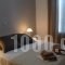 Anima Apartments_best prices_in_Apartment_Cyclades Islands_Folegandros_Folegandros Chora