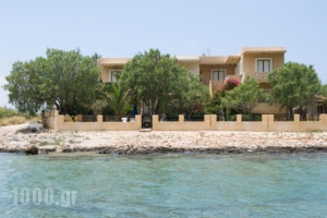 Little Bay_lowest prices_in_Apartment_Crete_Chania_Stavros