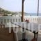 Rania Studios_best deals_Apartment_Cyclades Islands_Andros_Ormos