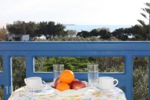 Mina'S Studios In Naxos Island_accommodation_in_Hotel_Cyclades Islands_Naxos_Agia Anna