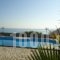 Vangelis Villas_accommodation_in_Villa_Crete_Lasithi_Ierapetra