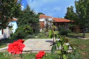 Danae House_accommodation_in_Room_Thessaly_Magnesia_Portaria