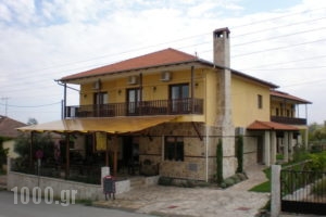 Olympia Guesthouse_lowest prices_in_Hotel_Macedonia_Imathia_Vergina