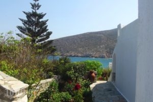 Flora's Apartments_travel_packages_in_Cyclades Islands_Naxos_Apollonas