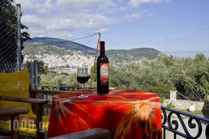 Naiades_holidays_in_Apartment_Sporades Islands_Skopelos_Skopelos Chora