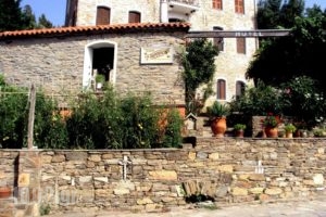 Guesthouse Parthenon_holidays_in_Apartment_Central Greece_Attica_Athens