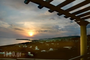 TinosView_best prices_in_Apartment_Cyclades Islands_Tinos_Agios Fokas