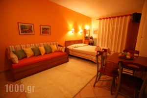 Nikos_best deals_Hotel_Macedonia_Halkidiki_Nikiti