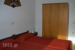 Olga_accommodation_in_Apartment_Ionian Islands_Corfu_Aghios Stefanos