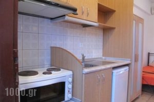 Studios Stella_best prices_in_Apartment_Macedonia_Halkidiki_Toroni