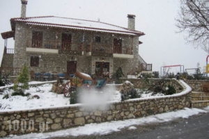 Koustenis Village_holidays_in_Hotel_Peloponesse_Arcadia_Dimitsana