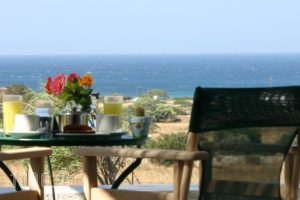 Scala Apartments_accommodation_in_Apartment_Cyclades Islands_Naxos_Naxos chora