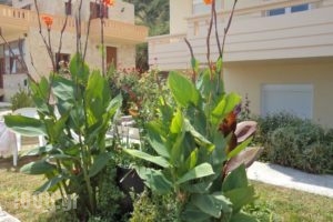 Asterina Seaside Apartments_lowest prices_in_Apartment_Crete_Chania_Fournes