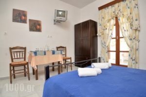 Paravatos studios_best deals_Apartment_Cyclades Islands_Schinousa_Schinousa Rest Areas